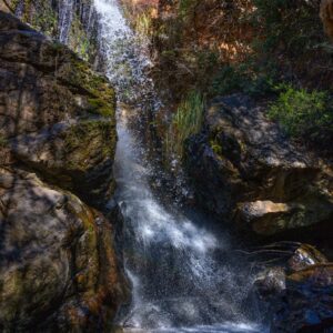Kings Kloof Trail