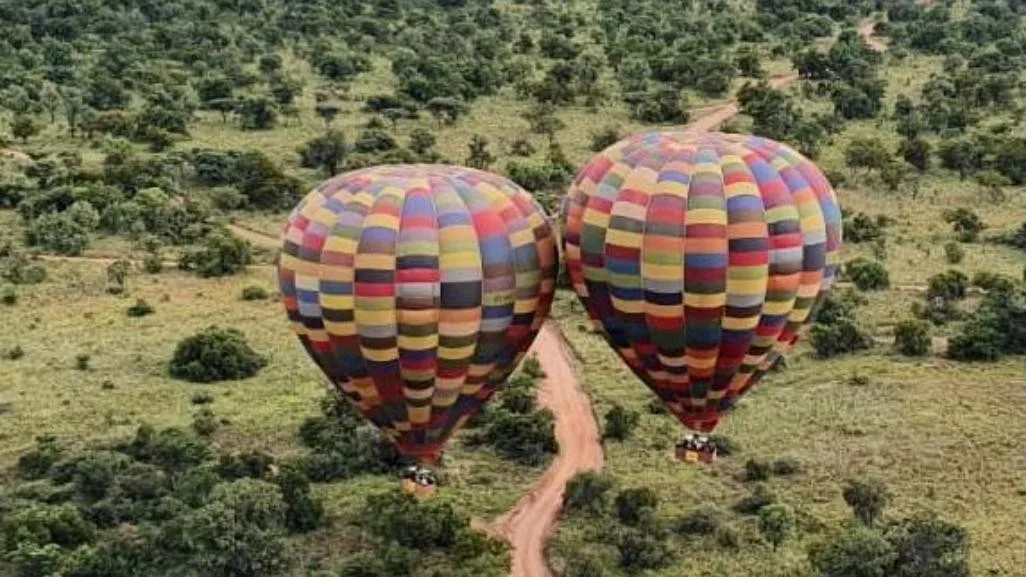 Balloon Safari in Gauteng
