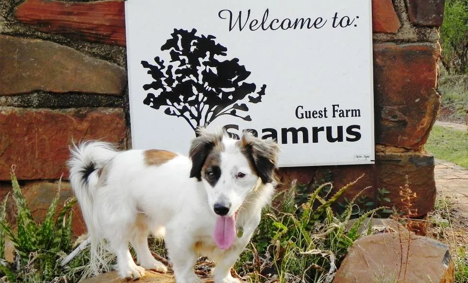 Saamrus Gasteplaas (Guest Farm) 3