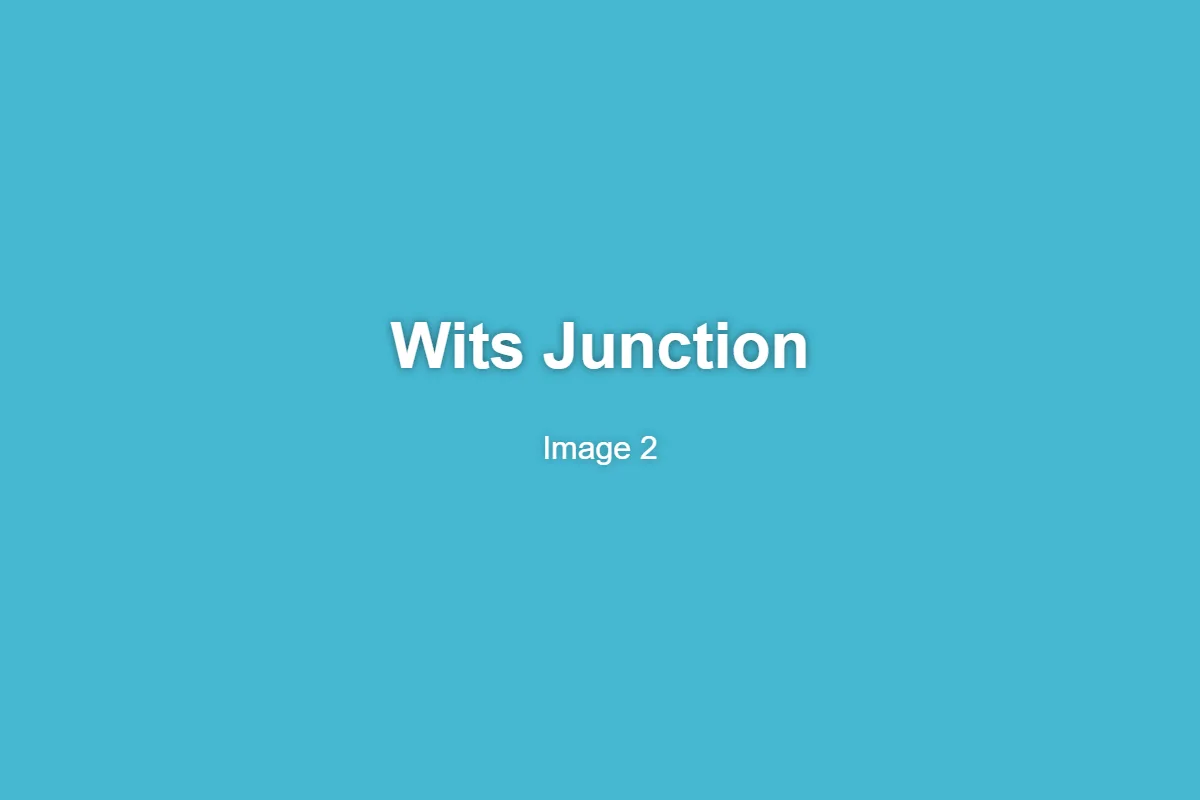 Wits Junction (Wits University Residence) 2
