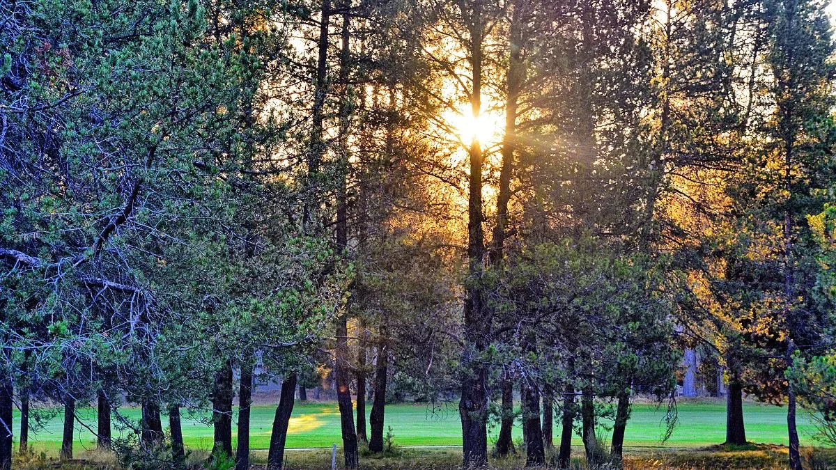 Meyerton Golf Club 2